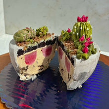 Load image into Gallery viewer, Mom&#39;s Suculent Pot Petit Ice Cream cake
